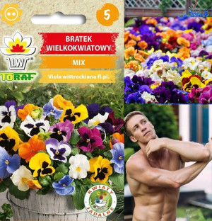 Bratek Wielkokwiatowy Mix Kwiaty Toraf