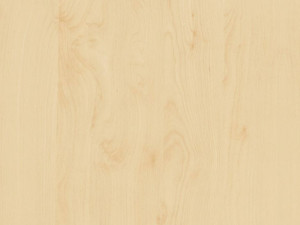 Okleina BRZOZA 67,5x200