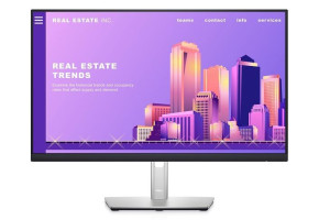 Monitor Led Dell 23.8" P2422h Ips Fhd D-sub/hdmi/dp Silver/black
