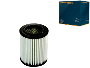Filtr Powietrza Honda Civic 2.0 01- Denckermann
