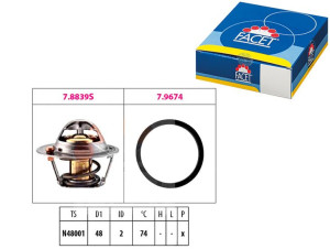 Termostat Ford Focus Ii Facet