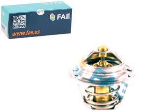 Termostat Fae 96143939 Th489887j