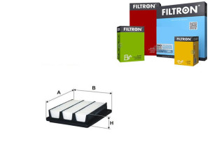 Filtr Powietrza Filtron