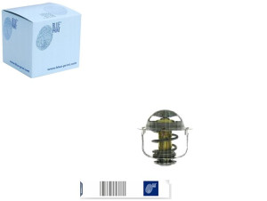 Termostat Blue Print