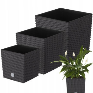 3x Doniczka Donica + Wkład Umbra Ogrodowa Rattan