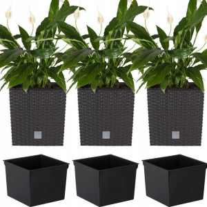 3x Doniczka Donica + Wkład Umbra Ogrodowa Rattan