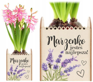 Doniczka Na Kwiatek Dzień Kobiet Dzień Matki Imię