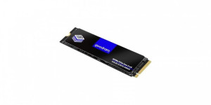 Dysk Ssd Px500-g2 512gb M.2 Pcie 3x4 Nvme 2280