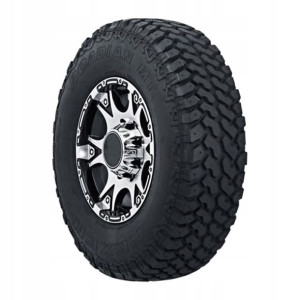2x NEXEN 235/85R16 120/116Q Roadian MT POR letnie