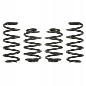 Sprężyny EIBACH PRO KIT VW Passat 3BG/3B3
