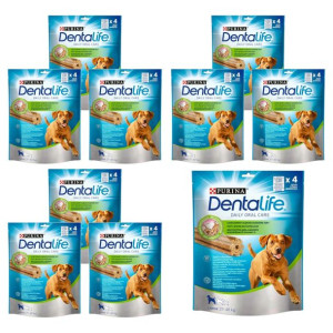 Przysmaki dla psa Purina Dentalife L 10x142g 40szt