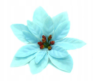 Poinsecja - główka 8 cm welur BLUE 6 szt