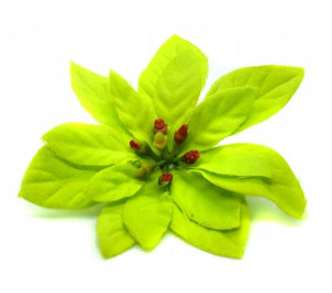 Poinsecja - główka 8 cm welur GREEN 6 szt