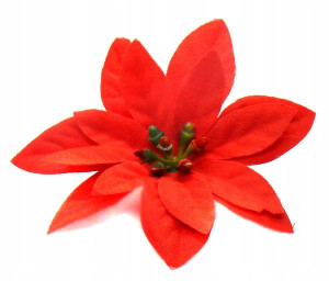 Poinsecja - główka 8 cm welur RED 6 szt