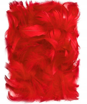 Piórka dekoracyjne Red 10g