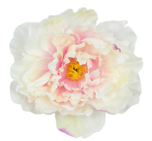 Peonia główka DUŻA Cream/Pink 17,50 cm