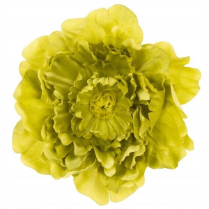 Peonia główka DUŻA Olive 17,50 cm