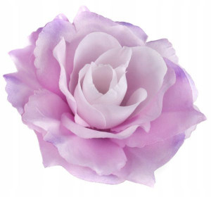Róża satynowa główka Cream/Lilac/Violet edge