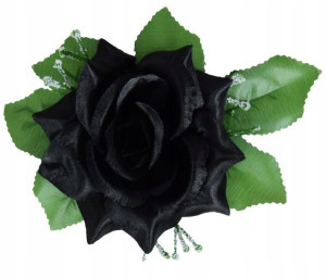 Róża główka z liściem gipsówką Black