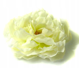 Peonia główka wyrobowa Kwiat Cream