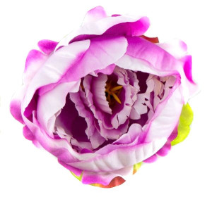 Peonia tafta główka kwiat Cream/Dk.Pink CUDNA!