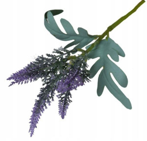 Wrzos Bukiet ozdobny Violet
