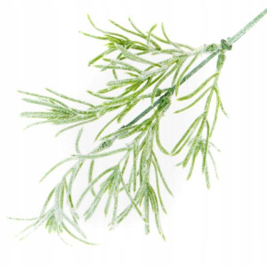 TRAWA Gałązka Omszała x 7 Green Trawka 30 cm