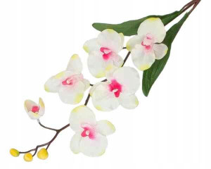 STORCZYK gałązka Phalaenopsis Cream/Pink