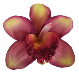 Storczyk cymbidium główka Purple/Green SZTUCZNE