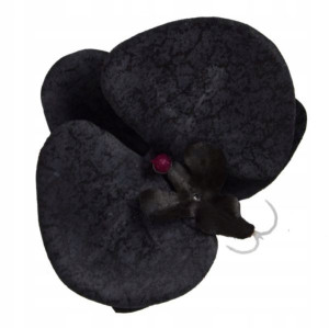 Storczyk Phalaenopsis - główka KWIAT Black