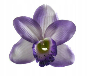 Storczyk cymbidium główka Kwiat Violet