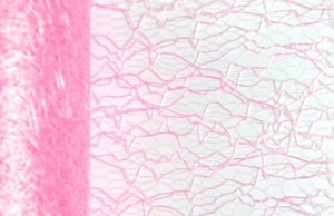 Siatka dekoracyjna FIBRA 12cm x 10y lt.pink