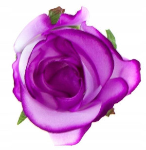 Róża w pąku - główka Lilac