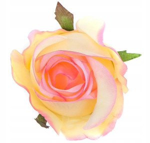 Róża w pąku - główka Yellow/Pink