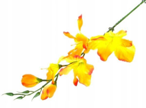 MIECZYK gałązka wys.53 cm Orange/Yellow