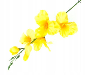MIECZYK gałązka wys.53 cm Yellow