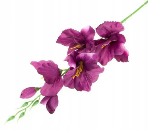MIECZYK gałązka wys.53 cm Plum/pink