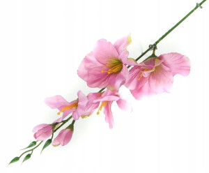 MIECZYK gałązka wys.53 cm Pink/Mauve