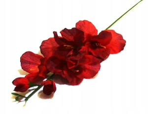 MIECZYk gałązka wys.48 cm Dk.Red