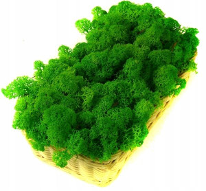 Mech ozdobny CHROBOTEK RENIFEROWY 200g Lt gr grass