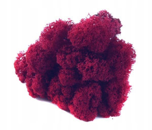 Mech ozdobny CHROBOTEK RENIFEROWY 50g Carmin Red