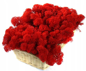 Mech Chrobotek Reniferowy 200g Red