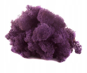 Mech CHROBOTEK RENIFEROWY 50g Purple/Violet