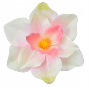 Magnolia główka satyna Kwiat Cream/Pink