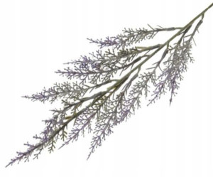 Lawenda gałązka ozdobna Violet 48 cm