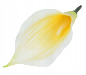 Kalla główka kwiat KALIA white/lt.yellow