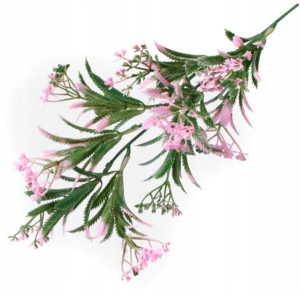 Kolendra gałązka ozdobna do bukietów Pink