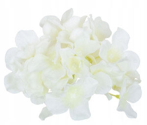 HORTENSJA Główka satyna White