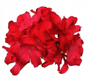 HORTENSJA Główka satyna Dk.Red