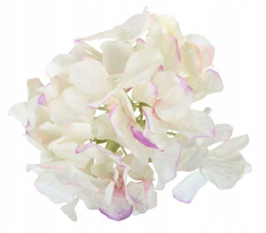 HORTENSJA Główka Kwiat satyna White/Pink